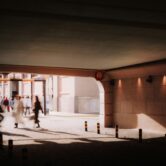 squids-z-lizj0XiyHvw-unsplash