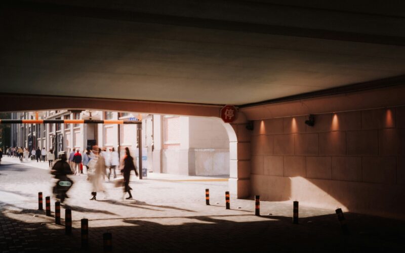 squids-z-lizj0XiyHvw-unsplash squids-z-lizj0XiyHvw-unsplash