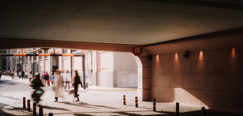 squids-z-lizj0XiyHvw-unsplash