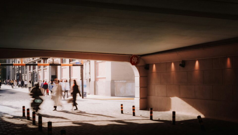 squids-z-lizj0XiyHvw-unsplash squids-z-lizj0XiyHvw-unsplash